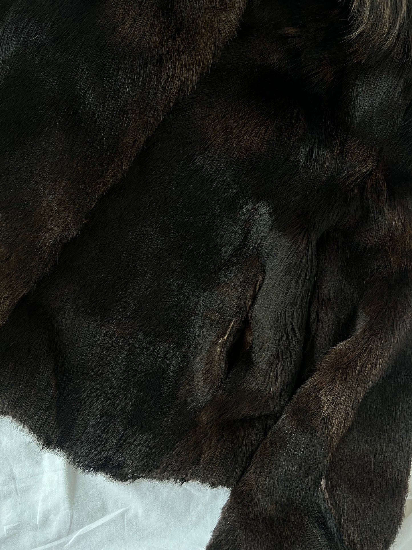 Natural brown fur